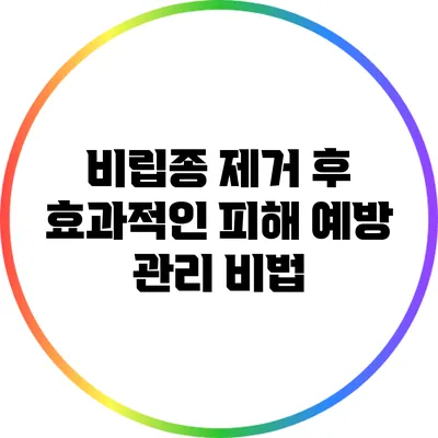 비립종 제거 후 효과적인 피해 예방 관리 비법