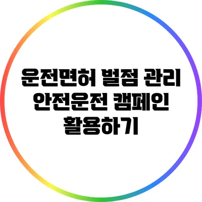 운전면허 벌점 관리: 안전운전 캠페인 활용하기