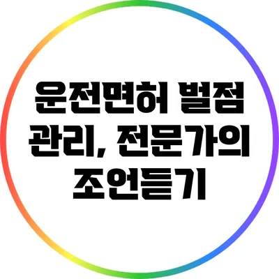 운전면허 벌점 관리, 전문가의 조언듣기