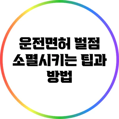 운전면허 벌점 소멸시키는 팁과 방법