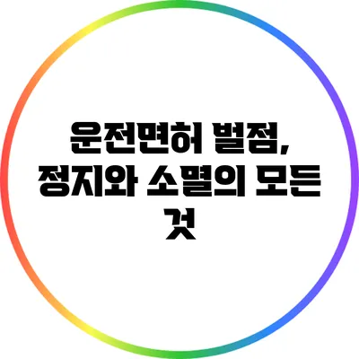 운전면허 벌점, 정지와 소멸의 모든 것