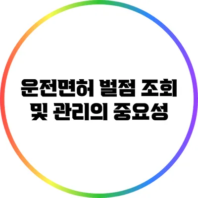 운전면허 벌점 조회 및 관리의 중요성