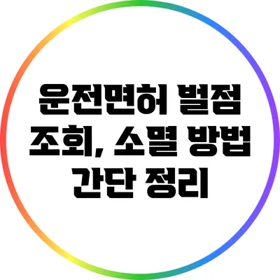 운전면허 벌점 조회, 소멸 방법 간단 정리