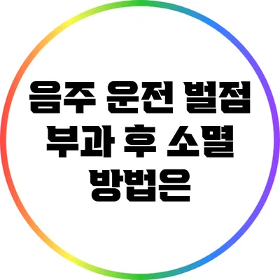 음주 운전 벌점 부과 후 소멸 방법은?