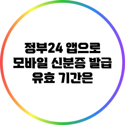 정부24 앱으로 모바일 신분증 발급: 유효 기간은?