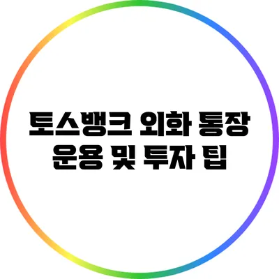 토스뱅크 외화 통장 운용 및 투자 팁