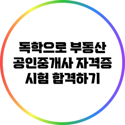 독학으로 부동산 공인중개사 자격증 시험 합격하기