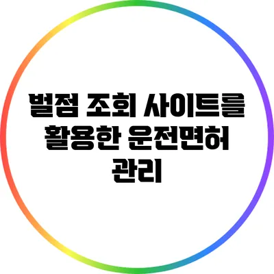 벌점 조회 사이트를 활용한 운전면허 관리