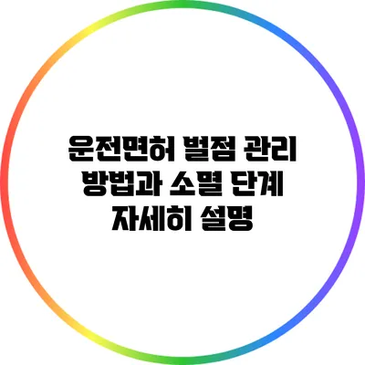 운전면허 벌점 관리 방법과 소멸 단계 자세히 설명