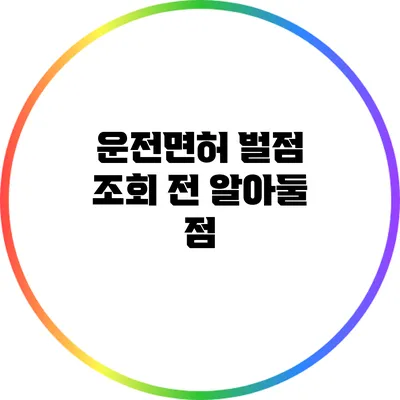 운전면허 벌점 조회 전 알아둘 점