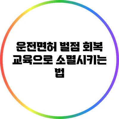 운전면허 벌점 회복 교육으로 소멸시키는 법