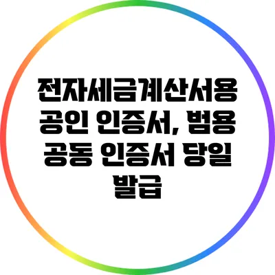 전자세금계산서용 공인 인증서, 범용 공동 인증서 당일 발급