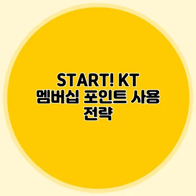 START! KT 멤버십 포인트 사용 전략