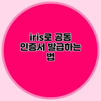 iris로 공동 인증서 발급하는 법