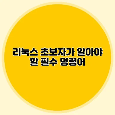 리눅스 초보자가 알아야 할 필수 명령어