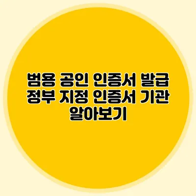 범용 공인 인증서 발급 정부 지정 인증서 기관 알아보기