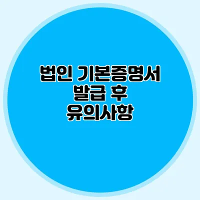 법인 기본증명서 발급 후 유의사항